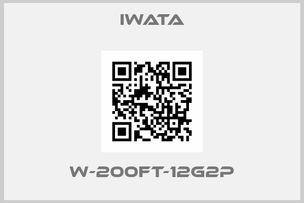 Iwata-W-200FT-12G2P