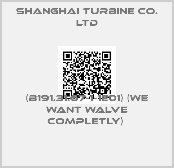 SHANGHAI TURBINE CO. LTD-(B191.31.67-1-1E01) (WE WANT WALVE COMPLETLY) 