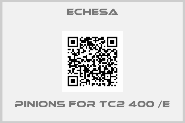 Echesa-pinions for TC2 400 /E