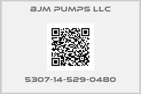 Bjm Pumps Llc-5307-14-529-0480