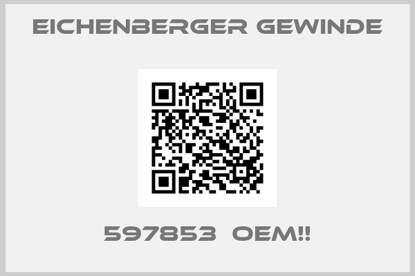 Eichenberger Gewinde-597853  OEM!!