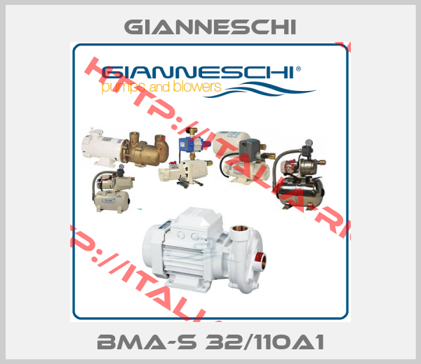 Gianneschi-BMA-S 32/110A1