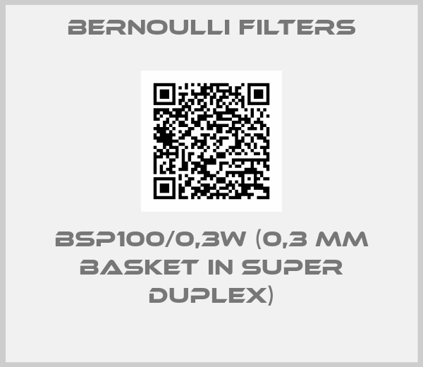 Bernoulli Filters-BSP100/0,3W (0,3 mm basket in Super Duplex)