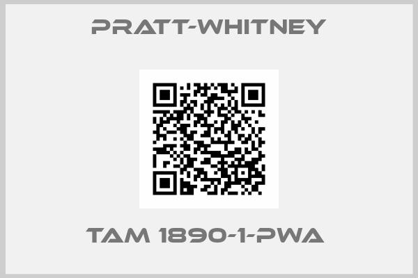 Pratt-Whitney-TAM 1890-1-PWA 