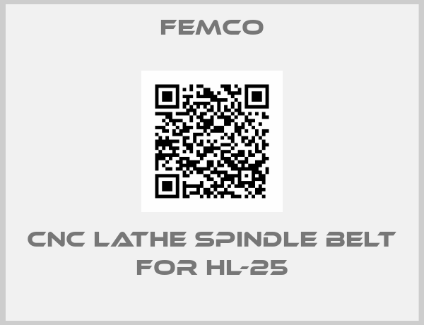 FEMCO-CNC LATHE SPINDLE BELT for HL-25