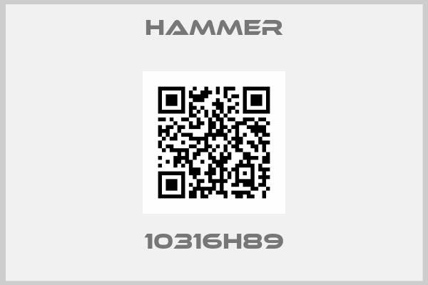 HAMMER-10316H89