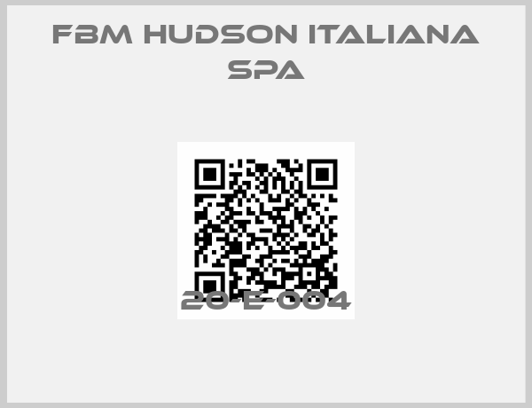 FBM Hudson Italiana SpA-20-E-004