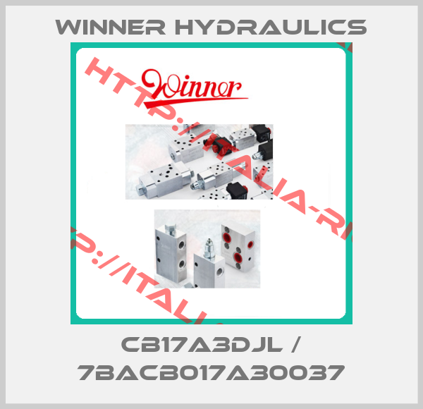 Winner Hydraulics-CB17A3DJL / 7BACB017A30037
