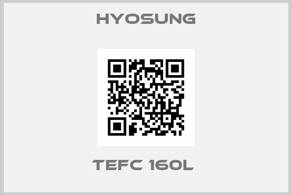 Hyosung-TEFC 160L 