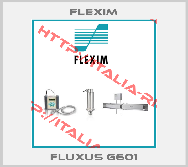 Flexim-Fluxus G601