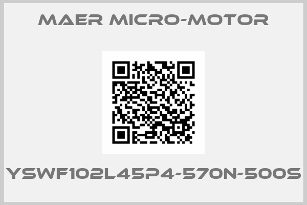 MaEr Micro-Motor-YSWF102L45P4-570N-500S