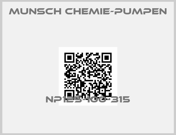 Munsch Chemie-Pumpen -NP125-100-315