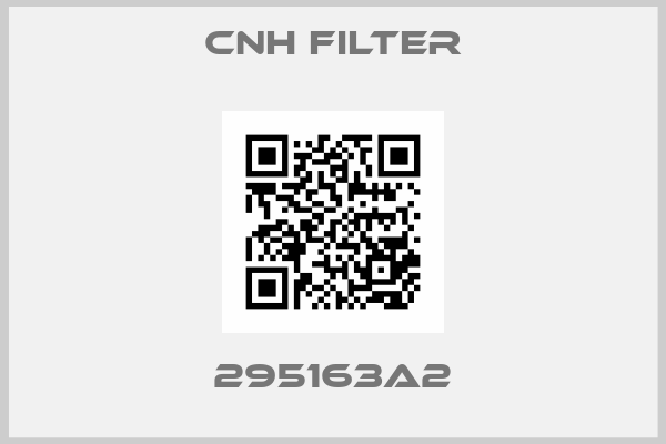 CNH Filter- 295163A2
