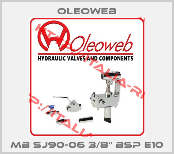 Oleoweb-MB SJ90-06 3/8" BSP E10