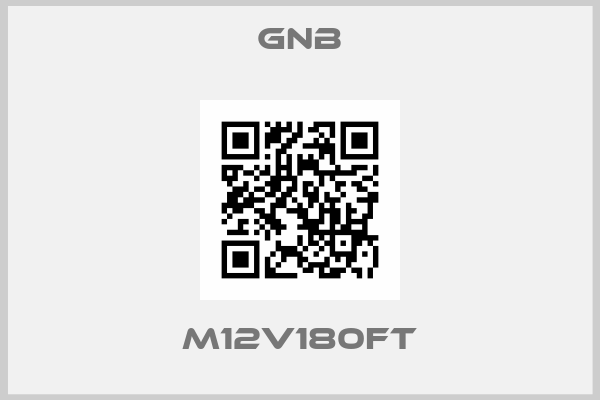 GNB-M12V180FT