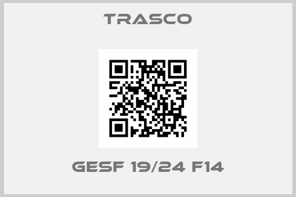 Trasco-GESF 19/24 F14