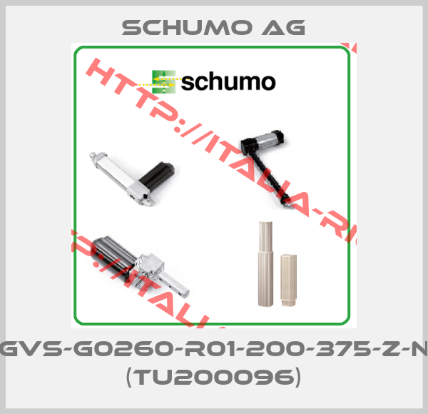 Schumo AG-GVS-G0260-R01-200-375-Z-N (TU200096)