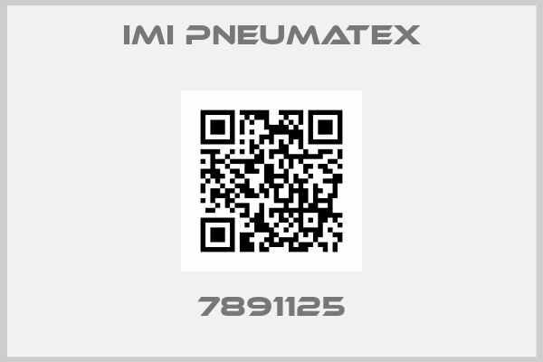 IMI PNEUMATEX-7891125