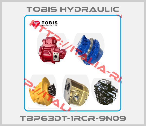 Tobis Hydraulic-TBP63DT-1RCR-9N09