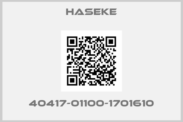 Haseke-40417-01100-1701610