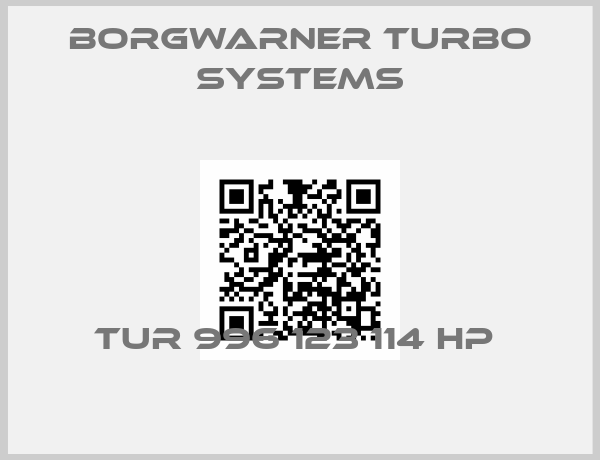Borgwarner turbo systems-TUR 996 123 114 HP 