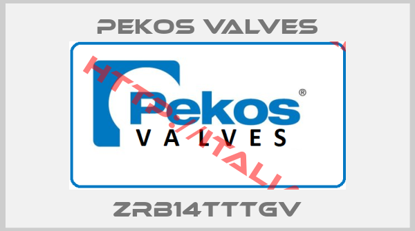 Pekos Valves-ZRB14TTTGV