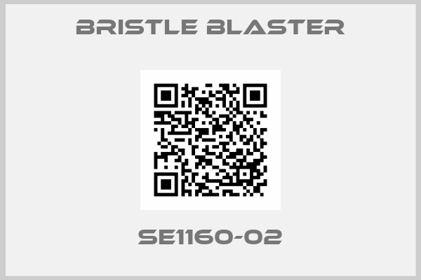 Bristle Blaster-SE1160-02