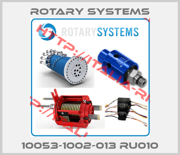 Rotary systems-10053-1002-013 RU010