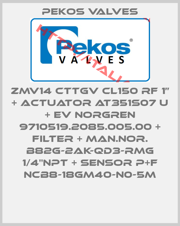 Pekos Valves-ZMV14 CTTGV CL150 RF 1” + ACTUATOR AT351S07 U + EV Norgren 9710519.2085.005.00 + FILTER + MAN.NOR. B82G-2AK-QD3-RMG 1/4"NPT + SENSOR P+F NCB8-18GM40-N0-5M
