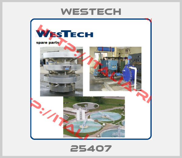 WESTECH-25407