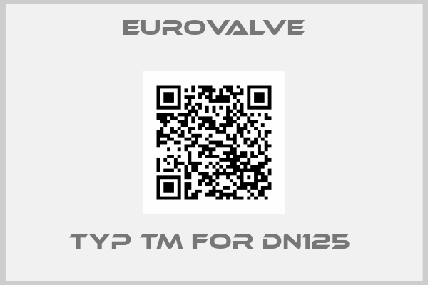 Eurovalve-TYP TM FOR DN125 