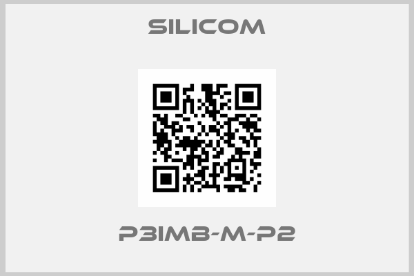Silicom-P3iMB-M-P2