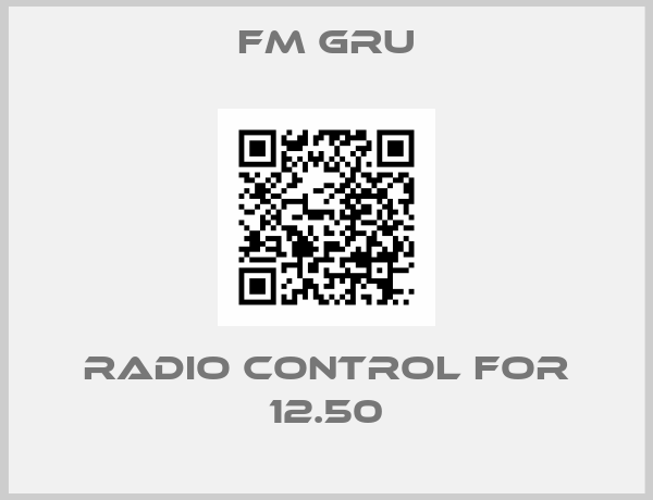 FM Gru-radio control for 12.50
