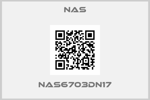 NAS-NAS6703DN17