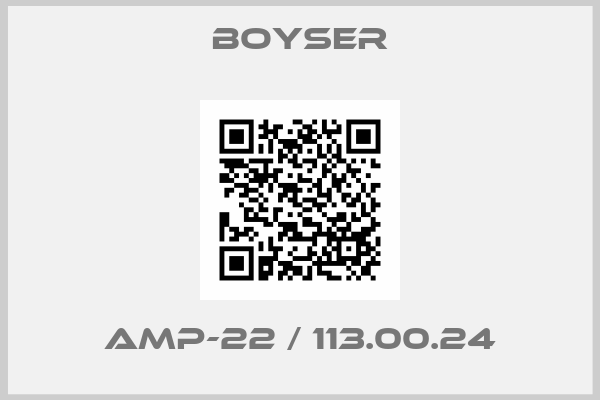 Boyser-AMP-22 / 113.00.24