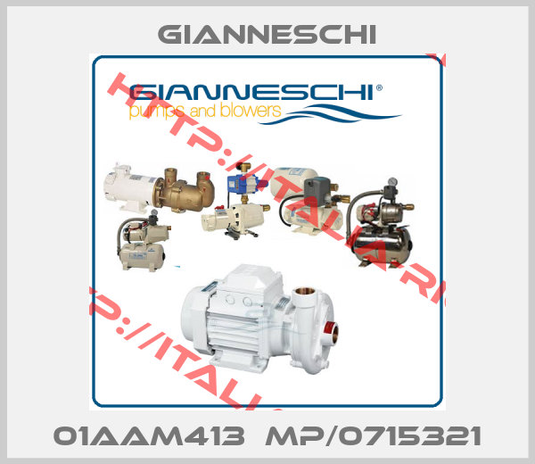 Gianneschi-01AAM413  MP/0715321