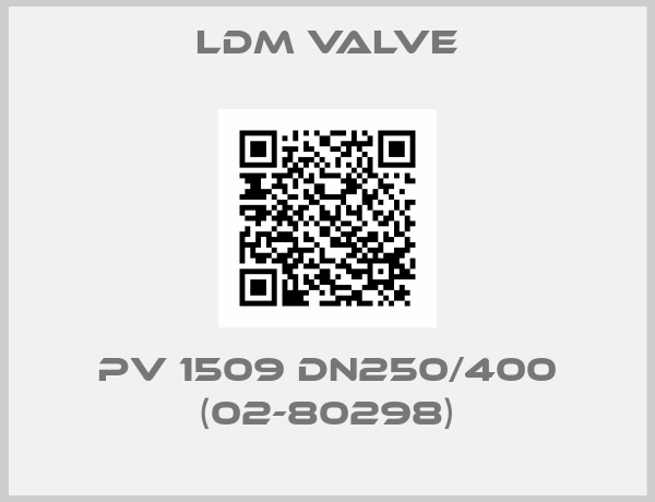 LDM Valve-PV 1509 DN250/400 (02-80298)