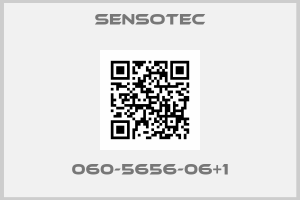 Sensotec-060-5656-06+1