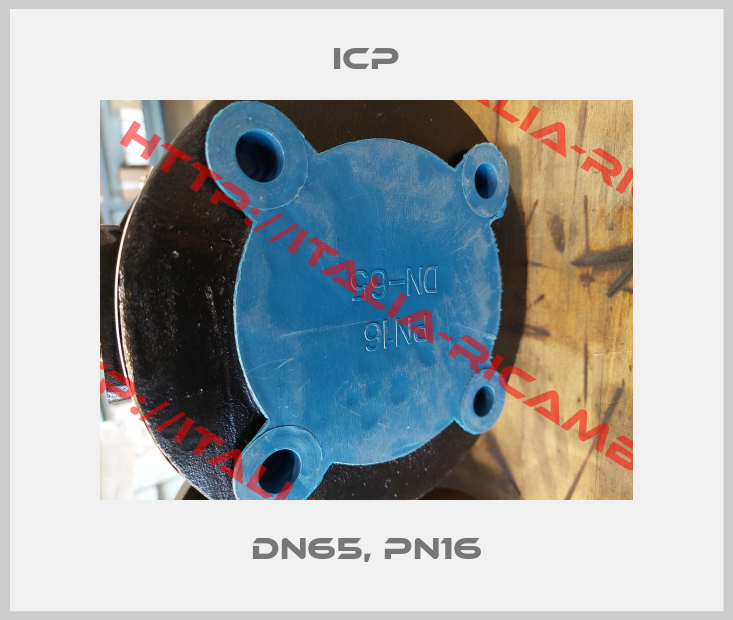 ICP-DN65, PN16