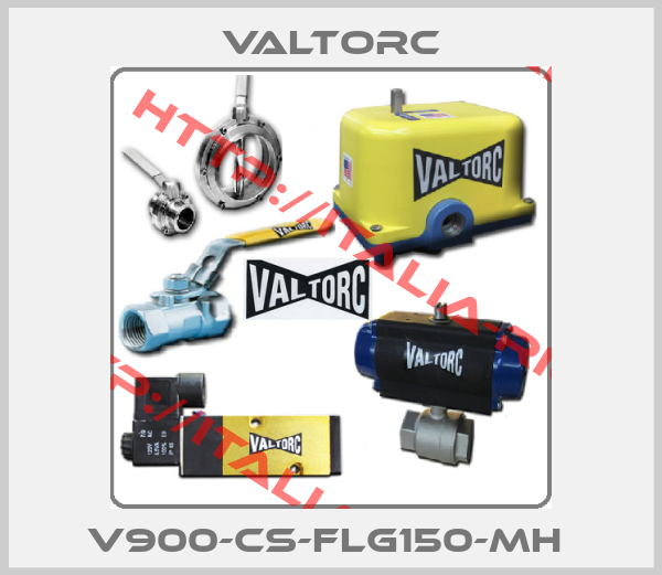 Valtorc-V900-CS-FLG150-MH 