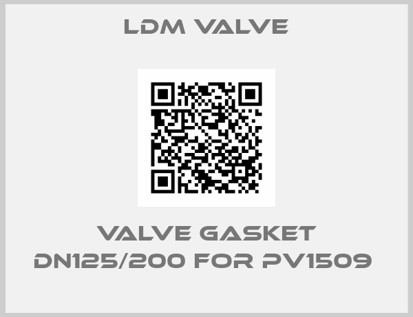 LDM Valve-VALVE GASKET DN125/200 FOR PV1509 