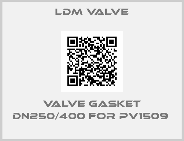 LDM Valve-VALVE GASKET DN250/400 FOR PV1509 