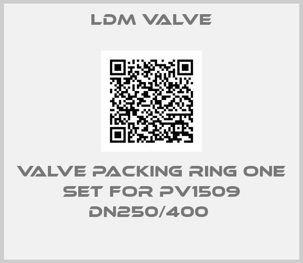 LDM Valve-VALVE PACKING RING ONE SET FOR PV1509 DN250/400 