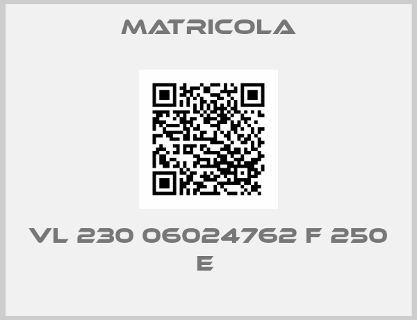 Matricola-VL 230 06024762 F 250 E 