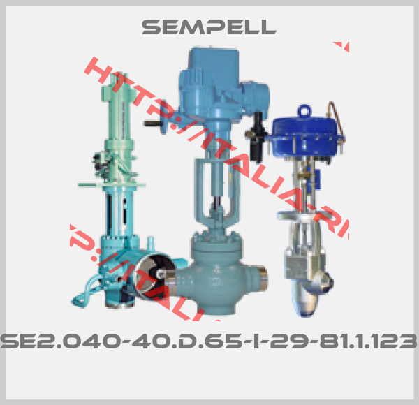 Sempell-VSE2.040-40.D.65-I-29-81.1.123.0 