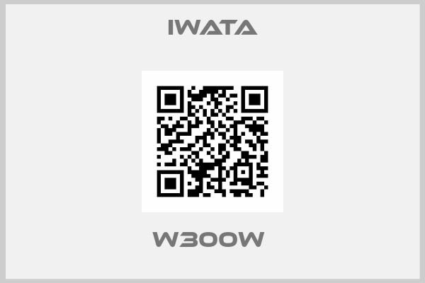 Iwata-W300W 