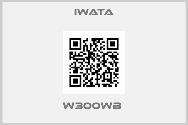 Iwata-W300WB 