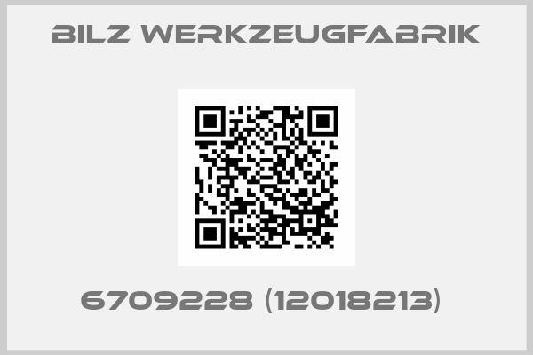 BILZ Werkzeugfabrik-6709228 (12018213) 