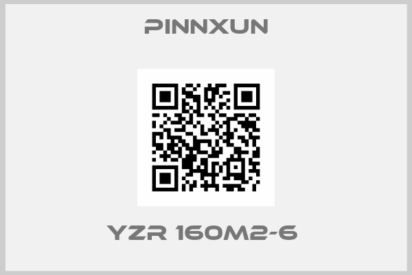 PINNXUN-YZR 160M2-6 