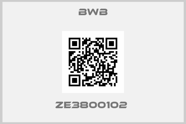 Bwb-ZE3800102 